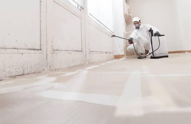 24/7 Emergency Attic Mold Removal experts in Sudbury, MA