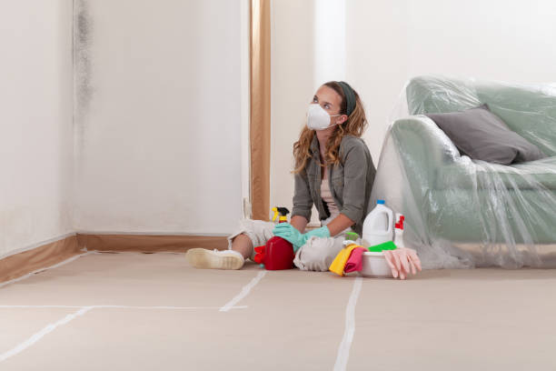 Reliable Mold Remediation contractor in Sudbury, MA by Cheap Mold Removal